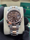 Rolex Datejust 41 Chocolate Index Dial on Oyster 126301 Complete 2023